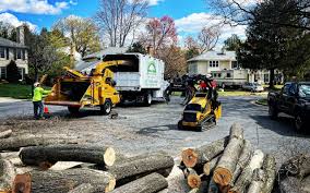 Best Utility Line Clearance  in Town Line, NY